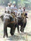 National Parks in India